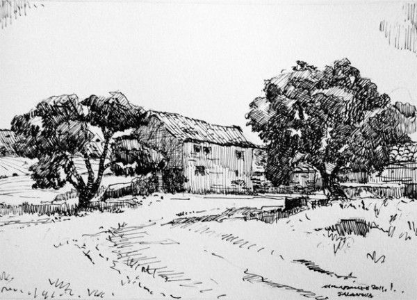 360salanova
